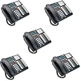 Nortel Norstar Telephone, Charcoal, 5 Pack (T7316e) (Renewed)