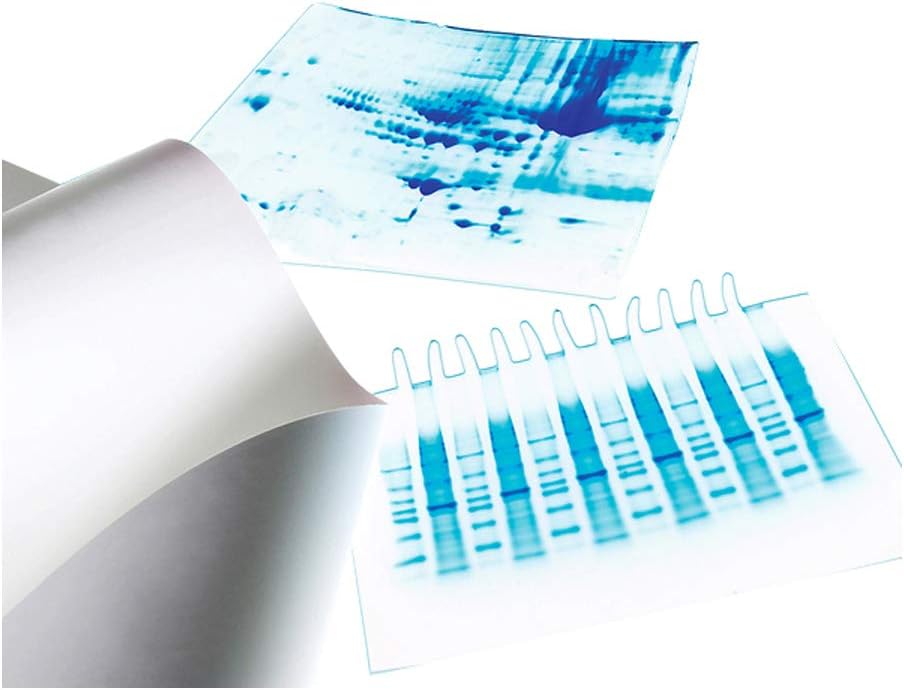 Merck Millipore ISEQ20200 Immobilon-PSQ (PVDF) Transfer Membrane, 0.2μm, 200 x 200 mm Sheets, Pack of 10