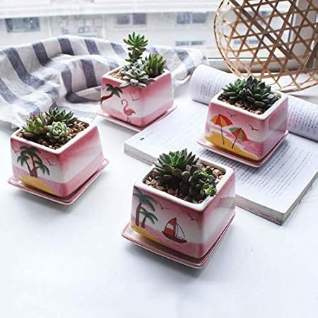 club de soccer magog