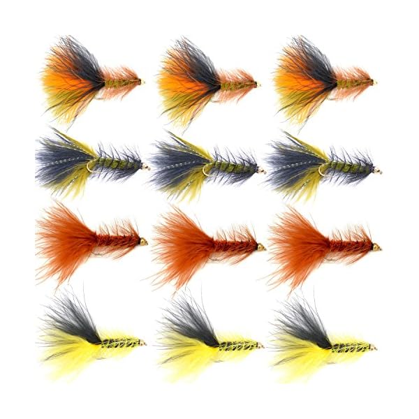 The-Fly-Fishing-Place-Bead-Head-Woolly-Bugger-Classic-Streamer-Flies-Set-of-12-Bass-and-Trout-Fly-Fishing-Flies-Hook-Size-4