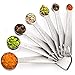 Palada All in One Set of 7, 430 Stainless Steel Engraved Measuring Spoons with Stainless Ring Holder and 10000 Recipes EBook