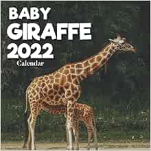 Baby Giraffe Calendar 2022: A Monthly and Weekly 12 Months Calendar