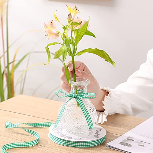 VGoodall Grass Green Gingham Ribbon, 3/8 x 50Yd Picnic Craft Ribbon Grass Green Ribbons for Hair Accessories Craft and Christmas Gift Wrapping