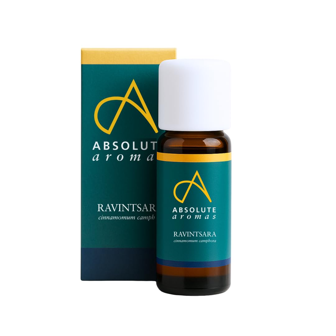 Absolute Aromas Ravintsara Essential Oil (cinnamomum camphora) 10ml - Pure, Natural, Undiluted, Cruelty Free and Vegan
