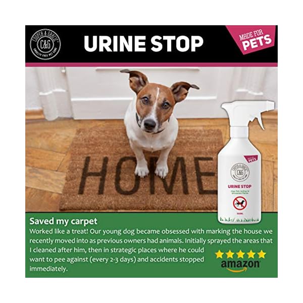 CG-Pets-Urine-Stop-Spray-for-Cat-and-Dog-Repellent-Stop-Cats-and-Dogs-Repeat-Marking-Indoors-and-Outdoors-100-Natural-Enzyme-Urine-Destroyer-500-ML C&G Pets Urine Stop Spray for Cat and Dog Repellent | Stop Cats and Dogs Repeat Marking Indoors and Outdoors | 100…