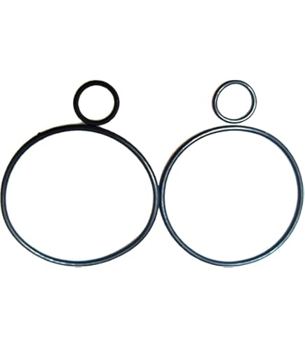 Amazon.com: Honda 91302-KF0-003 O-Ring (54x2 Genuine Original