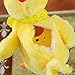 ON Toy Doll Laying Egg Electric Plush Crazy Chicken with Lights Sound Music
