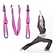AGPtEK Deluxe Aerial Hammock Yoga Swing/ Inversion/Sling, Flying Antigravity