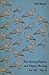 The Racing Pigeon and Pigeon Racing for All - Vol. I. by Old Hand