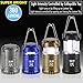 VP TEK Collapsible LED Lantern with Ultra Bright 300 Lumens COB Technology (4 Pack)