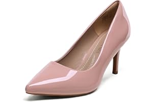 DREAM PAIRS Women's High Stiletto Heels Closed Pointed Toe Dress Pumps Shoes for Wedding Work Office Business, 3 Inches