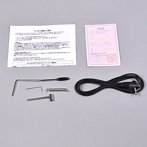 Custom Smith Se ポールリードスミス B0795bprsm Paul Maple Reed Sunburst Spalted 24 Vs Vintage エレキギター 即出荷