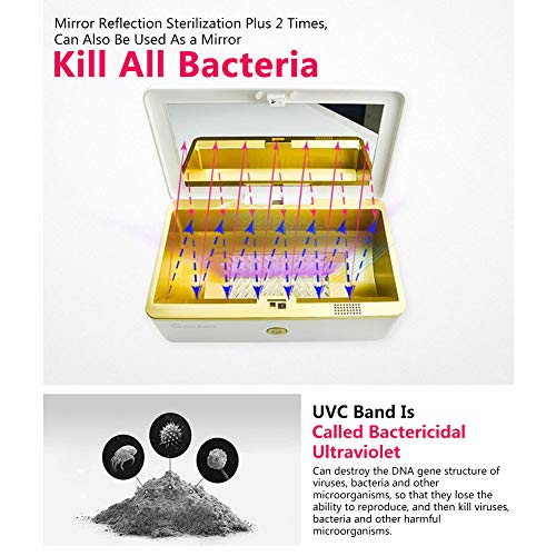 image for LAMPTOP 5W UV Sterilizer Box with Ozone, Professional Antibacterial LE