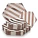 SILVER SPOONS PARTY DISPOSABLE 36 PC DINNERWARE SET | 18 Dinner Plates | 18 Side Plates | Heavyweight Paper Plates | Hexagon Design | Biodegradable Plates (Stripe Collection – Rose)