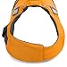 Ruffwear, Float Coat Dog Life Jacket for Swimming, Adjustable and Reflective, Wave Orange, Large