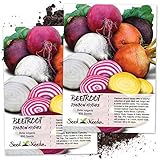 Seed Needs, Rainbow Beet Mixture (Beta vulgaris) Twin Pack of 600 Seeds Each Non-GMO