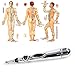 S.Team.Beauty NYKKOLA Electric Acupuncture Magnet Therapy Heal Massage Pen Meridian Energy Pen ¡­