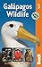 Galapagos Wildlife (Bradt Wildlife Guides)