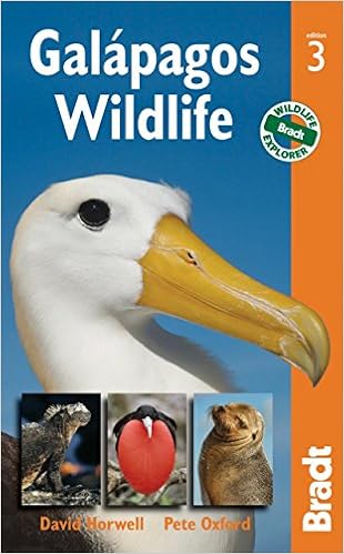Galapagos Wildlife (Bradt Wildlife Guides), by David Horwell