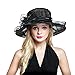 Womens Organza Church Summer Wide Brim Kentucky Derby Tea Party Wedding Hats