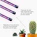 Grow Lights for Indoor Plants - Full Spectrum Red and Blue LED Grow Light - Small Gooseneck Lamp with Clamp and Timer - for Herb Garden, House Plant, Succulent, Cactus, Flowers, Bonsai Tree