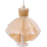Girls' Elegant Tulle Ball Gown Dress for Special Occasions Birthday Party Wedding Princess Costume