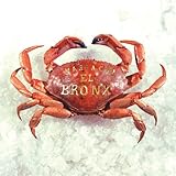 MARIACHI EL BRONX                                  image