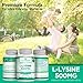 PurePremium L-Lysine 500 mg Supplement - Essential Amino Acid with Maximum Strength - Immune Support Supplement - Pure Lysine 500mg for Fast Absorption - 7 Months Supply - 200 Tablets