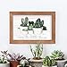 Enjoy The Little Things Cactus Plants 10 x 7 Inch Pine Wood Framed Wall Art Plaque