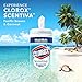 Clorox Scentiva Disinfecting Wipes, Pacific Breeze and Coconut - 70 Wipes - 6 Canisters/Case (31767)