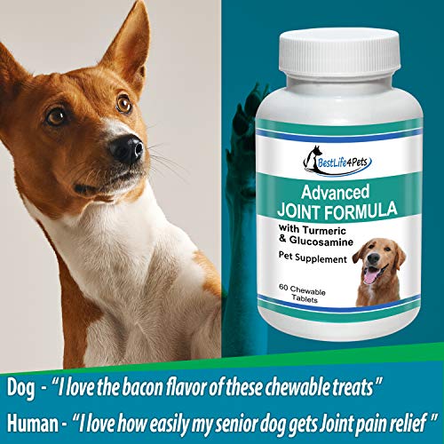 BestLife4Pets Dog Glucosamine Chondroitin and Turmeric Joint Pain Relief Supplement (60 Chews)
