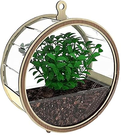 Fing Wall Mounted Pendant Garden Stand for Flowers Vector Pot for Flowers Storage Basket Plant Stand Flower Pot for Balcony Living Room Outdoor Indoor Plant Holder Home Decor