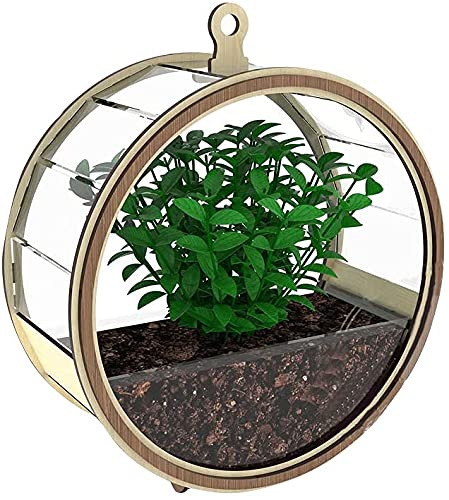 Jeny Wall Mounted Pendant Garden Stand for Flowers Vector Pot for Flowers Storage Basket Wooden Plant Stand for Table top Living Room Outdoor Indoor Plant Holder Home Decor Item (Round)