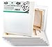 Daveliou 10-Piece Pack 8x10 inches Triple Primed Reinforced Art Canvas, Prestretched Art Canvas, Canvas Art, 4.03 Pound