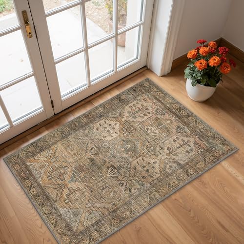 Entrance Rug Washable Small Rug