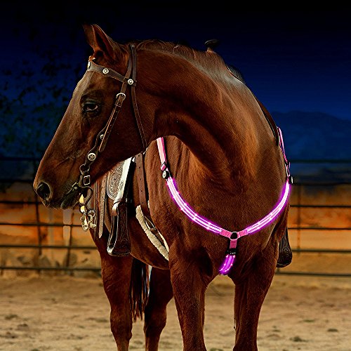 Upgraded LED Horse Breastplate Collar, USB Rechargeable Equestrian Riding Horse Bridle Halter Safety Light Horses Neck Belt Equipment Horsing Accessory - pink