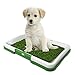 Artificial Grass Pee Pad Set for Dogs (Synthetic Plastic Grass) - Reusable Puppy Essential for Potty Training Small Pets Indoors and Outdoors by PETMAKER (Green)