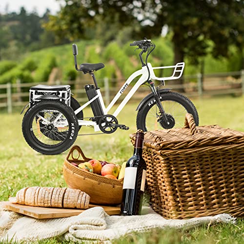 3 wheel motorized bicycle