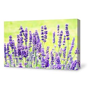 Canvas Wall Art for Living Room,Bedroom Home Artwork Paintings Romantic Lavender Ready to Hang - 12x18 inches