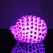 LED Colorful Changing 7 Colors LED Hedgehog Night Light
