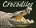 Crocodiles (Animal Predators)