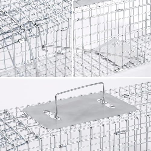 Homodoskey Animal Traps,Live Animal Trap for Cats,Rabbits, Squirrels,cat Trap for Stray Cats, Live Traps for Raccoons, Stainless Steel Foldable with Pedal Triggers (24 x 7 x 8 inches)