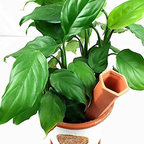View 5