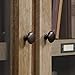 Sauder Dakota Pass Display Cabinet/Pantry cabinets, Craftsman Oak finish