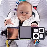 baby einstein more to see high contrast panda bouncer