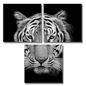 3 Piece Canvas Wall Art for Living Room Bedroom Home Artwork Animal Paintings Ready to Hang - 12"x12"x3 Panels