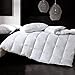 Comforter Soft Goose Down Alternative Duvet Insert Warm Winter 2100 Series Quilt with Corner Tab for All Season, Prima Microfiber Filled (White, King-1)