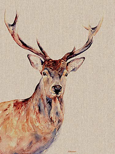 Jane Bannon (Montgomery 30 x 40cm Canvas