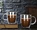 WBSEos Coffee Mug, Double Walled Glass Coffee Cup, High Borosilicate Glass Mug for Latte, Espresso, Milk, Tea, Juice, 400ml set of 1(12.6 Ounce)