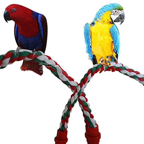 mkki Colorful Fashion Parrot Bird Toys Decorative Pet Bird Parrot Standing Rope Cockatiel Parakeet Conure Cage Swing Perch Toy
